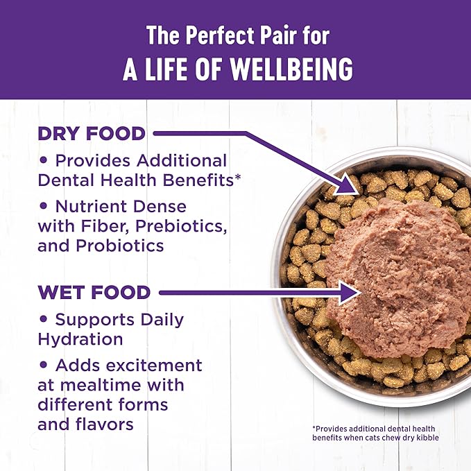 Wellness Complete Health Tasty Textures Gravy & Minced Adult Wet Cat Food, Natural, Protein-Rich, Grain Free, 3 Ounce, 12 Pack, (Salmon, Tuna, and Chicken Variety Pack)