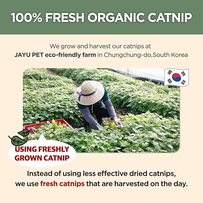 JAYU PET Active Catnip Spray - High Potency Transparent Liquid Spray Made of Fresh Organic Catnip for Indoor Cats and Kittens, Relieves Stress, Calming, Revives Toys (1fl oz) (Catnip Spray, 1fl oz)