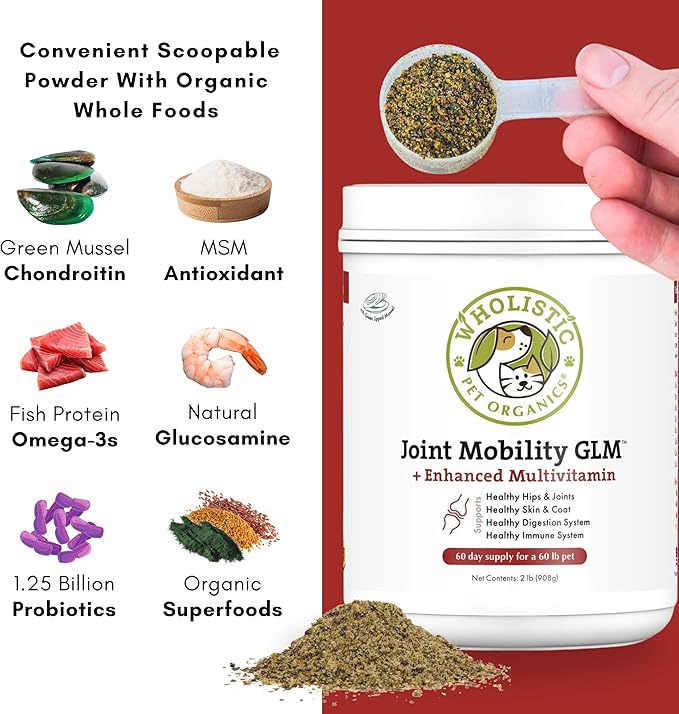 Wholistic Pet Organics - Hip and Joint Supplement for Dogs & Cats - Cat & Dog Joint Supplement - Green Lipped Mussels, Glucosamine, Chondroitin for Dogs & Cat Mobility Support - 2 Lb - 90 Scoops