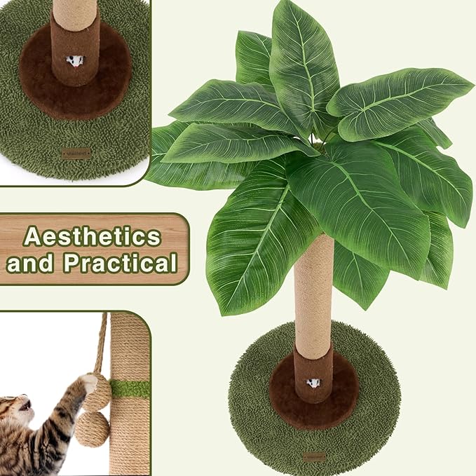 Cat Scratching Post for Indoor Cats and Kitten - 35.43" Tall Cat Scratching Post with Sisal Rope,Palm Tree Cat Scratch Post with Hanging Ball (35.4-Green, 35.4in)