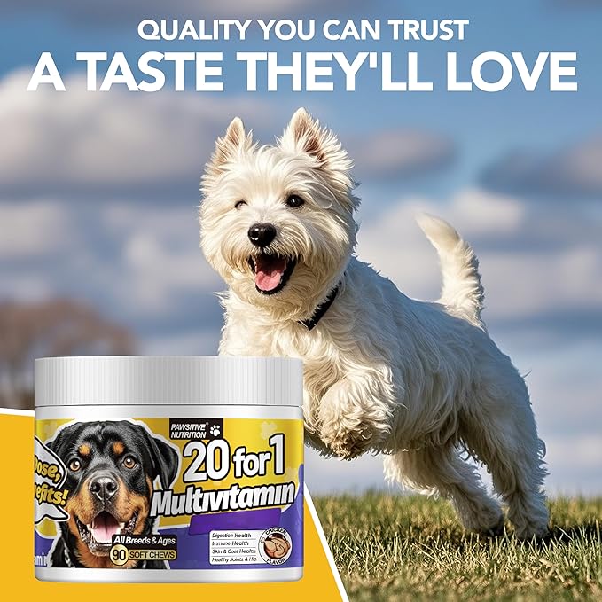 Dog Vitamins Multivitamin Chewablew, Multivitamin & Coenzyme Q10 Dog Supplement for All Dogs (Chicken,90 Chews)