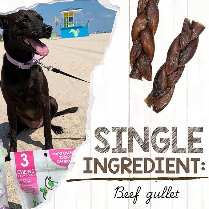 Nature Gnaws Braided Beef Chews for Dogs 5-6" (3 Count) - Long Lasting for Small and Medium Dogs - Natural Beef Gullet Jerky Dog Chew Treats