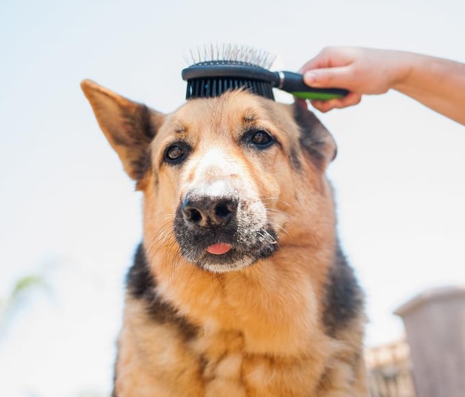 Professional Grooming Brushes (Pack of 3) Double Sided Brush, Long Tooth Undercoat Dog Rake & De-Matting Comb for Dogs, Cats & Other Animals, Green & Black (DogBrushesTop)