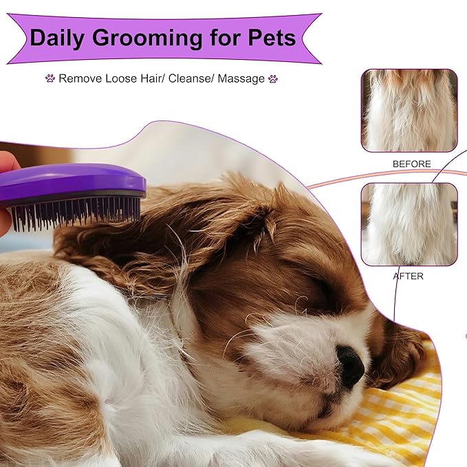 Gentle Grooming Puppy Brush with Gift Box ， Fit for Small Dog ， Yorkie, Shih Tzu, Maltipoo, Maltese and Pomeranian ，Toy Poodle Accessories, Soft Bristle (Dark Purple)