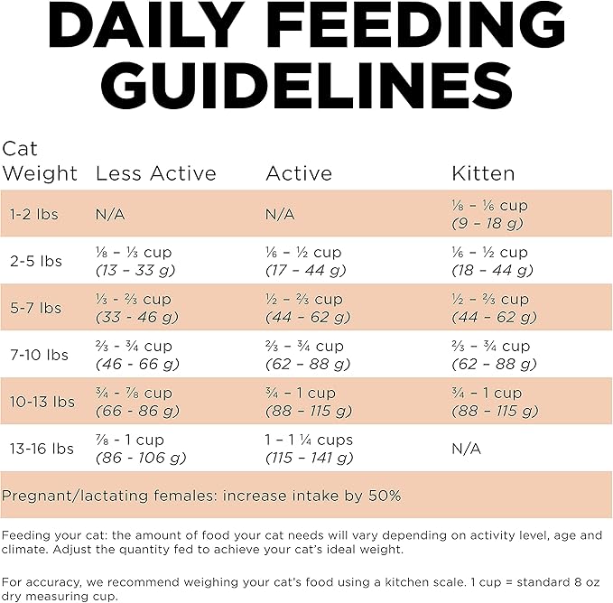 Go! Solutions Skin + Coat Care Salmon Grain-Free Dry Cat Food, Chicken-Free, Healthy Kibble with Omega-3s & 6s for Soft, Shiny Fur, for Kittens, Adults, & Seniors, 8 lb Bag