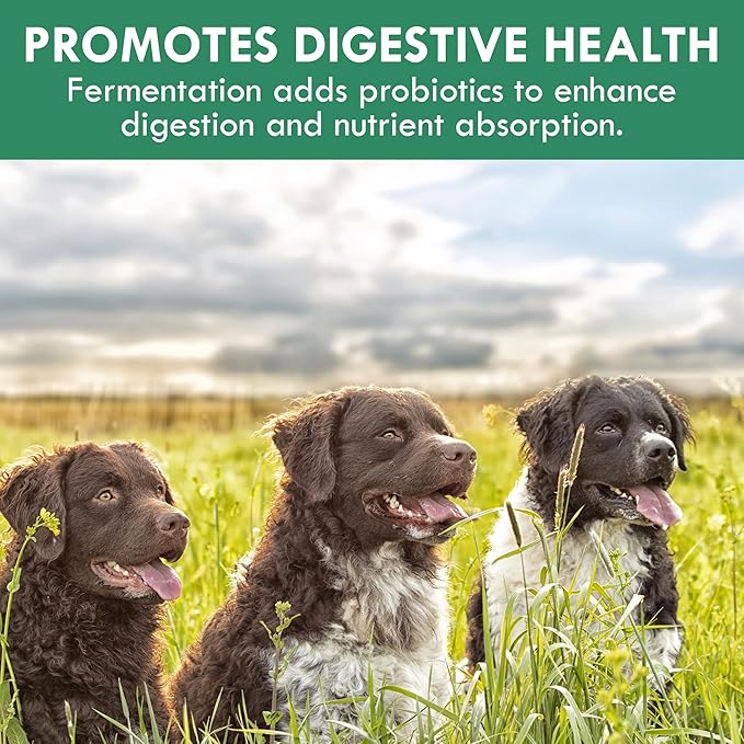 Holistic Bin Canine Fermented Farmer's Blend | Nutrient-Rich Dog Food Toppers | Plant-Based Supplements for Pets Gut Flora | Pumpkin, Spinach, Fruit and Vegetables Powder Mix | Fermented Blend (50g)