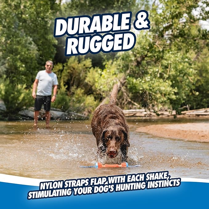 Chuckit! Rugged Bumper Dog Toy, Fetch Stick with TPR Ridges for Easy Grip, Medium Tug-of-War Toy for Medium Dogs, Floats in Water, 13.5", Orange and Blue (not recommended for Aggressive Chewers)