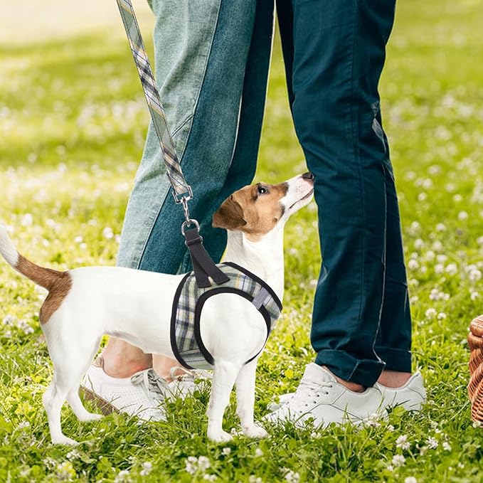 PUPTECK Adjustable Dog Harness Collar and Leash Set Step in No Pull Pet Harness for Small Medium Dogs Puppy and Cats Outdoor Walking Running, Soft Mesh Padded Reflective Vest Harnesses, Grn&YLW, S