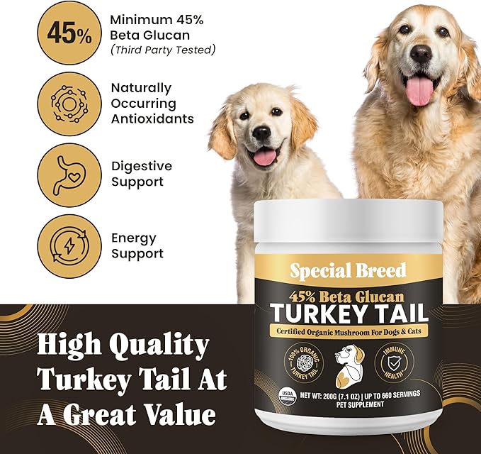Organic Turkey Tail Mushroom for Dogs and Cats, 45% Beta Glucan Standardized, Hot Water Extracted Whole Fruiting Body, Third Party Tested, Immune and Gut Support, No Fillers, Made in USA, 660 ct