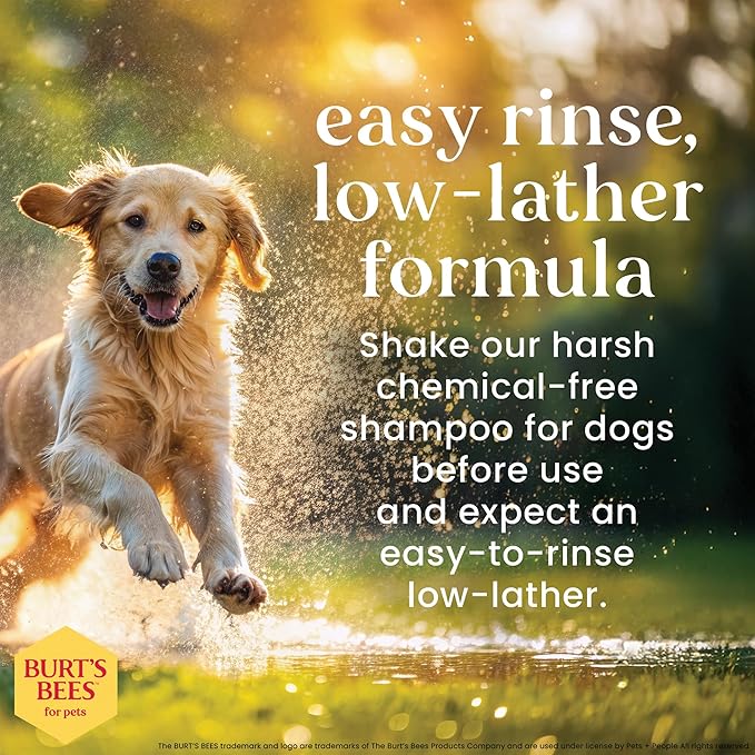 Burt’s Bees for Pets Oatmeal Dog Shampoo with Honey, Soothing Dog Shampoo for Itchy and Sensitive Skin, pH Balanced Formula That Gently Cleans and Moisturizes Dog Coats, 16 Fl Oz - 2 Pack