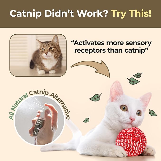 JAYU PET Active MATA Spray – 100% Natural Silvervine Spray for Cats, Liquid Catnip Alternative, Calming Mist for Indoor Kittens, Boosts Play & Engagement, Reduces Stress (1 fl oz)