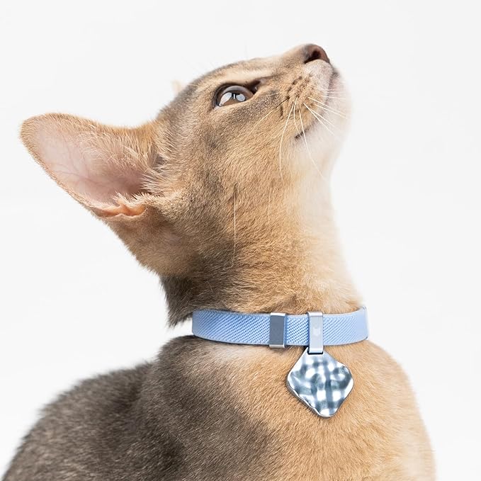 Engraved Pet ID Tag - Personalized Name Tag Engraved Cat Collar Charms, Aluminum Alloy Custom Cat Name Tag for Kitten Small Large Cats (Ocean-Sierra Blue)