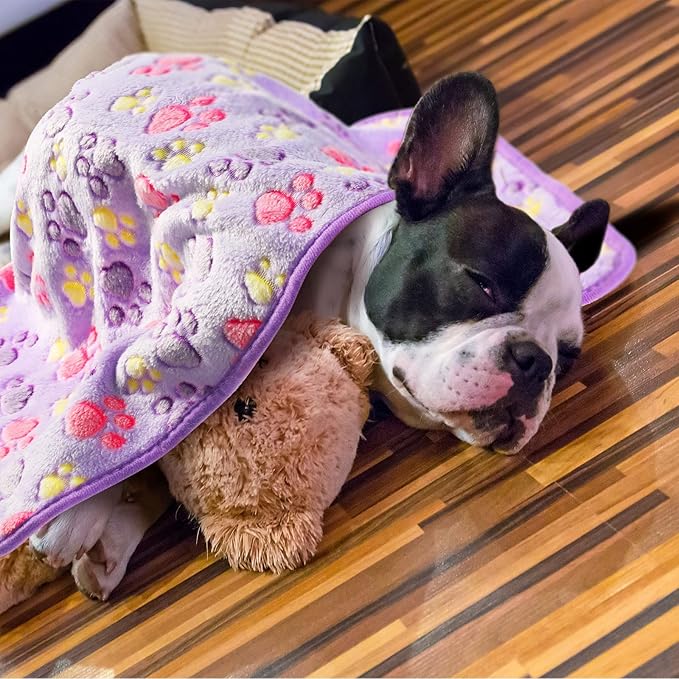 Tatuo 4 Pcs Dog Blanket for Pet Puppy Teething Toys Paw Print Fleece Blanket for Pet Cat Soft Warm Sleep Mat Guinea Pig Cage Mat (Medium(30 x 20.5 Inch),Purple)