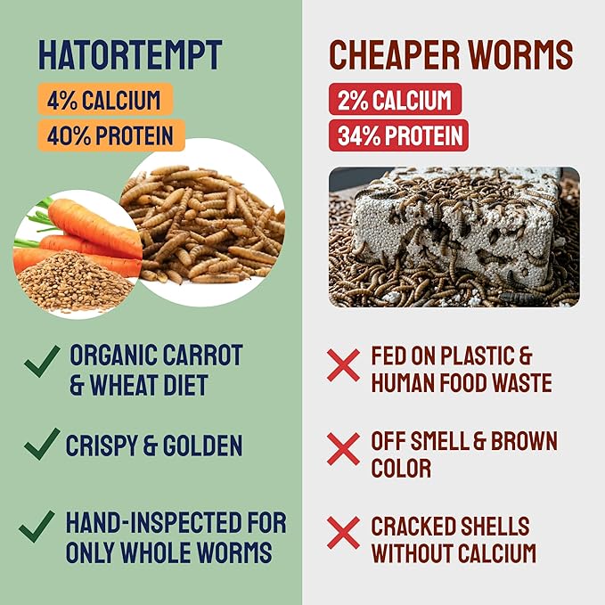 Hatortempt 5lb Dried Black Soldier Fly Larvae - More Calcium Than Mealworms for Chickens - High Protein Chicken Feed Treats for Laying Hens, Wild Birds and Duck Food
