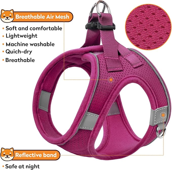 Dog Harness with Leash Set, No-Pull Step-in Reflective Pet Harness with 1 Leash Clips, Adjustable Soft Padded Easy Walk Dog Vest for Small Medium Large Dogs, Cats(Rose Red, XXSmall)
