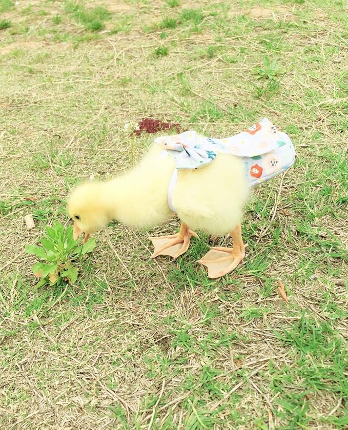 Duck Diapers, Chicken Diapers, Special Diapers for Poultry, Chicken, Duck and Goose Waterproof, Adjustable, Washable and Reusable Diapers，Poultry Supplies, Duck Supplies (M:200g-250g)