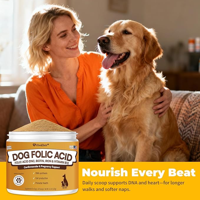 Heart Support Supplement for Dogs Aids B12& Folate Circulatory Strength, Antioxidant Cardiovascular Support, Heart Muscle Function Support DNA Synthesis & Seeking Health Prenatal 4.2oz Powder