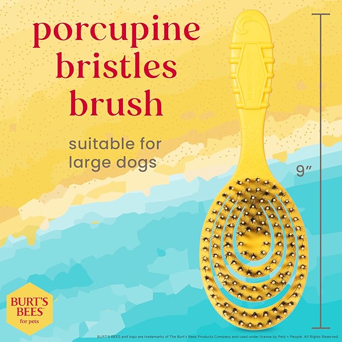 Burt’s Bees for Pets Porcupine Bristle Brush for Large Dogs with Handle Made from Recycled Plastics Collected from Coastal Communities - Flex-head Grooming Brush