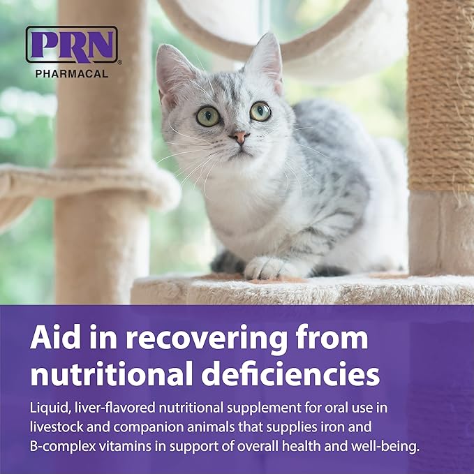 PRN Pharmacal Liqui-Tinic 4X - Iron & B Vitamin Supplement for Pets - Liver-Flavored - 2 fl oz (3 Pack)