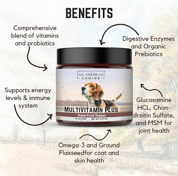 All American Canine Multivitamin Powder - Glucosamine & Chondroitin for Joint Health, Digestive Enzymes & Probiotics for Immunity, Skin & Coat, Beef Flavor 90 Servings