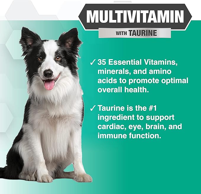 Progility Daily Multivitamin for Dogs – Helps Support Immune, Heart, Eye, Brain & Gut Health with Taurine, Soft Chews with Probiotics (90 Count)