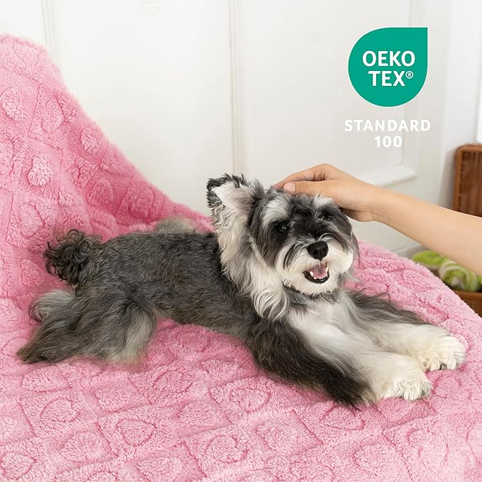 gogobunny Calming Plush Dog Cat Blanket 300GSM Coral Fleece, Ultra-Soft Machine Washable Pet Bedding for Small Medium Dogs Cats Puppies Kittens (Pink, 60x80)