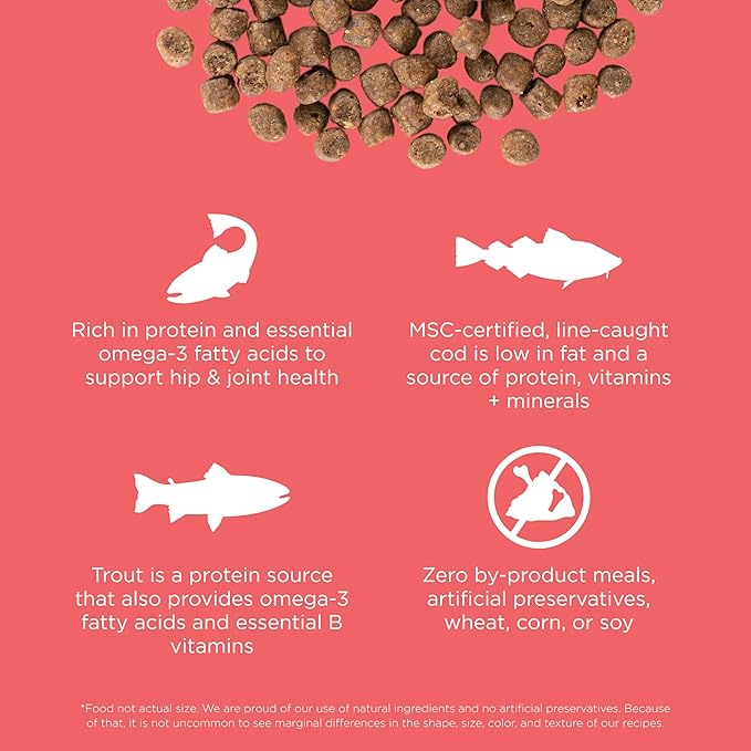 Go! Solutions Carnivore Salmon + Cod Grain-Free Dry Cat Food, Our Highest-Protein Kibble Made with Real Meat & Fish, Chicken-Free Recipe, for Kittens, Adults & Seniors, 3 lb Bag