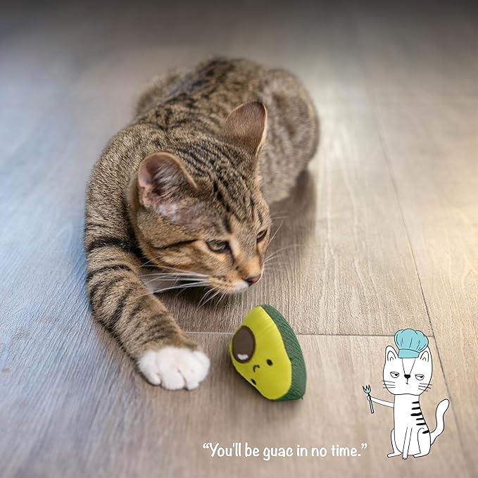 Catstages Lil' Avocato Cat Toy, Interactive Plush Avocado with Catnip, Kicker & Chew Toy for Indoor Cats, Encourages Active Play, Mental Stimulation, Dental Health, and Solo Fun, Green (Pack of 2)