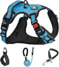 NESTROAD No Pull Dog Harness,Adjustable Oxford Dog Vest Harness with Leash,Reflective No-Choke Pet Harness with Easy Control Soft Handle for Small Dogs(X-Small,Blue)