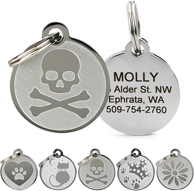 GoTags Playful, Custom Engraved Pet ID Tags, Solid Stainless Steel, Personalized Dog and Cat Pet ID with up to 4 Lines of Text, Cute, Durable and Long-Lasting