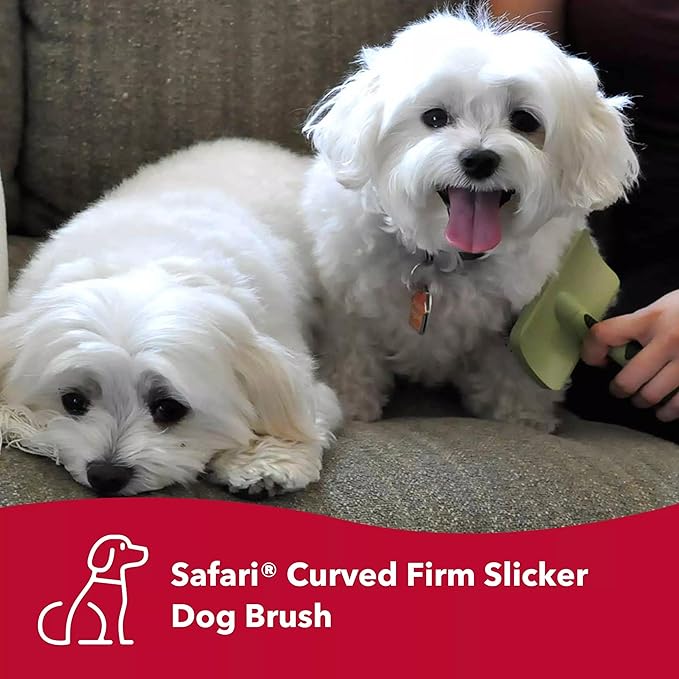 Coastal Dog Slicker Brush, Green - Grooming & Shedding Brush for Dogs of All Hair Types - Curved Design for Easy Detangling - Non-Slip Handle, 6.75'' x 4.25''