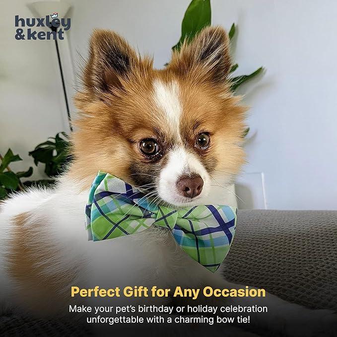 Huxley & Kent Pet Bow Tie for Dogs & Cats - Adjustable Hook & Loop Collar Accessory - Cute & Comfortable for Holidays & Celebrations - Lime Madras, Small
