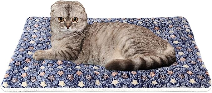 FJWYSANGU Pet Blanket Premium Fluffy Flannel Cushion Soft and Warm Mat for Dogs Cats(Star/Blue,Small)