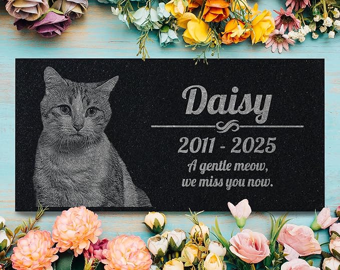 Cat Memorial Personalized Black Granite Stone 12 X 6 Bereavement in Memory Loss of Pet Cat Garden Stone