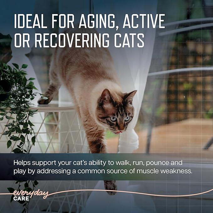 Virbac URSOLYX™ Soft Chews for Cats | Muscle Health Support for Senior, Active or Recovering Cats | 60 Count 2- Month Supply