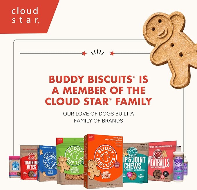 Cloud Star Buddy Biscuits 14 oz. Box of Grain-Free Crunchy Dog Treats Made with Natural Peanut Butter,(Pack of 2)