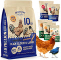 Hatortempt 10lb Dried Black Soldier Fly Larvae - More Calcium Than Mealworms for Chickens - High Protein Chicken Feed Treats for Laying Hens, Wild Birds and Duck Food