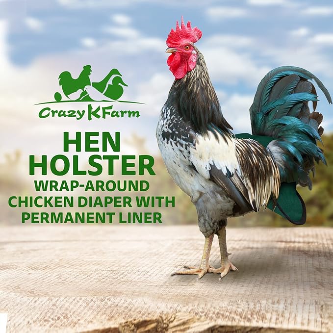 Hen Holster Premium Starter Kit - Bird Diaper, Wrap Around for Hens, Roosters, Ducks - Leak-Proof, Comfortable Bird Harness with Sewn-in Liner, Secure Hook & Loop Closure - S/M, Green