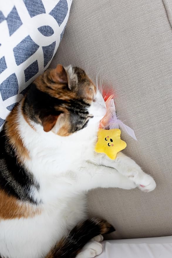 Pearhead Pawstronaut Cat Toy Set, Feather Teaser and Rattle Catnip Toy Set, Must Have Pet Accessories