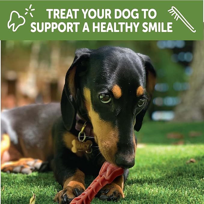 Whimzees Wellness Brushzees Dog Dental Treats, Extra Small Size Stick, (48 Count)