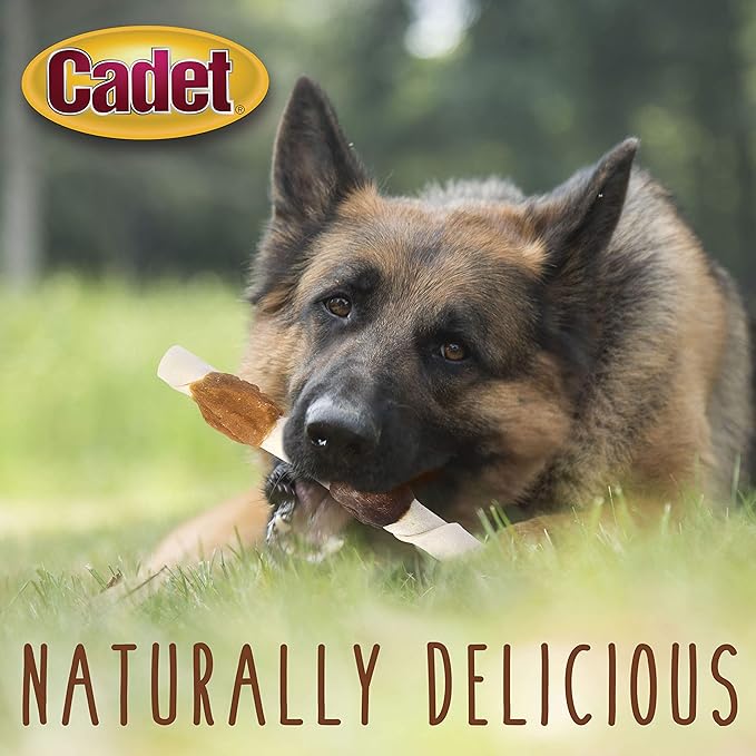 Cadet Gourmet Shish Kabob Dog Treats for Large Dogs, Healthy & Natural Chicken & Sweet Potato Chew Sticks, Beef Hide, Extra Large 10 Inch, 4 Count (Pack of 1)