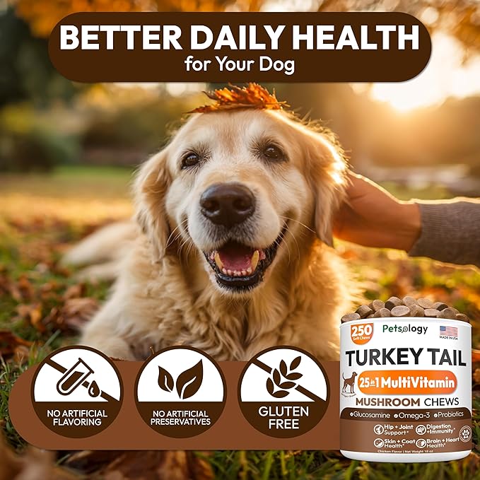 Turkey Tail Mushroom for Dogs - 250 Chews - Lion’s Mane - Shiitake - Reishi - Buddy Immune Support Guard - Lipoma Mushroom Supplement for Dogs Lumps and Bumps Glucosamine, Health Vitamins Multivitamin