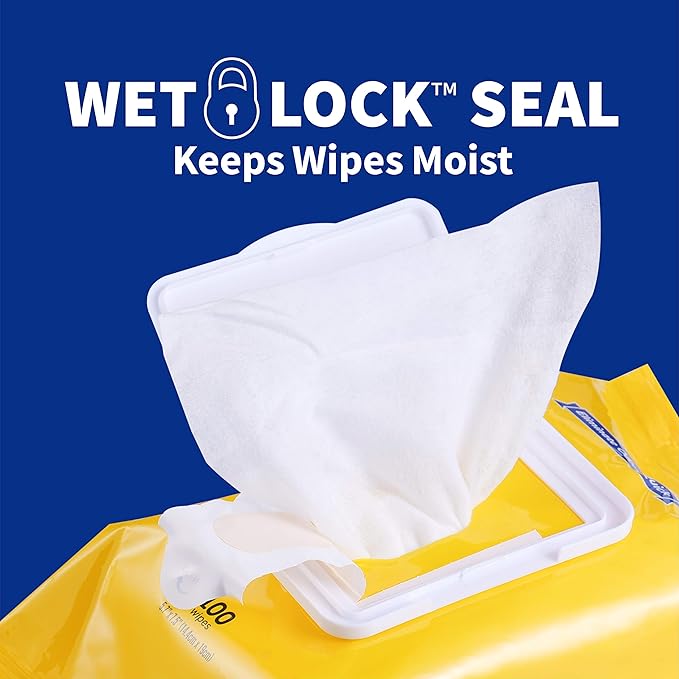 Wet Ones for Pets Deodorizing Multipurpose Dog Wipes with Baking Soda, Tropical Splash Scent - Desmellizing Wipes for Dogs with Wet Lock Seal, 100 Count