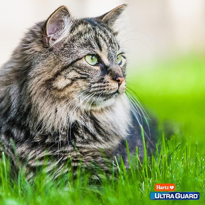 Hartz UltraGuard Topical Flea & Tick Prevention for Cats and Kittens - 3 Monthly Treatments (Pack of 3)