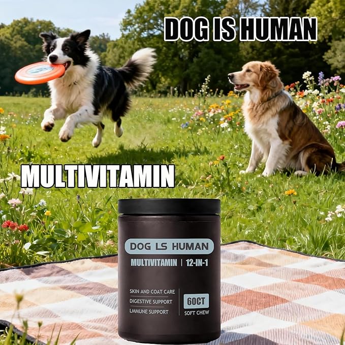 Dog Is Human Multivitamin for Dogs,Pet Vitamins Supplements for Skin and Hair,60 Chews (1PCS)