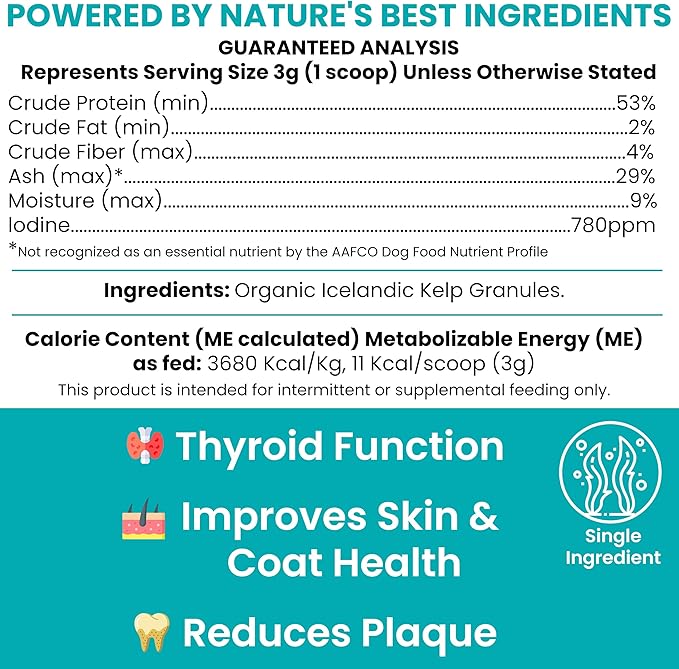 Sea Kelp Powder for Dogs - Thyroid, Dental & Plaque Support, Skin & Coat - Chew + Heal Labs Iodine-Rich 4 oz Kelp Supplement, Digestion & Immune, Seaweed Meal Topper with 5cc Spoon, Made in USA