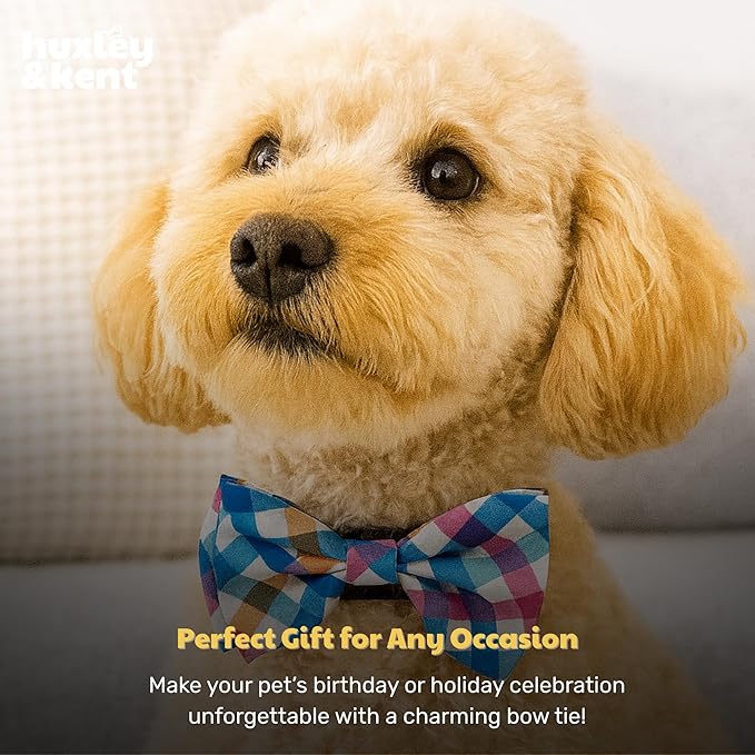Huxley & Kent Pet Bow Tie for Dogs & Cats - Adjustable Hook & Loop Collar Accessory - Cute & Comfortable for Holidays & Celebrations - Blue/Green Check, Small