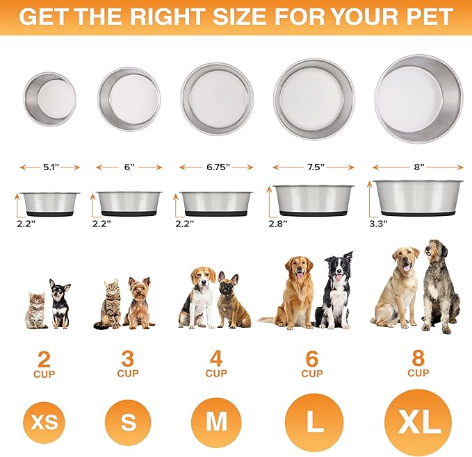 Neater Pet Brands Stainless Steel Dog Bowls with Non-Slip Rubber Bottom – Set of 2, 6 Cup (48 oz), Black - Heavy Duty Metal Dog Bowl, Dishwasher Safe, Food or Water Bowl, Ideal for Large Dogs