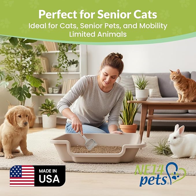 KittyGoHere 2.0 Easy-Entry Cat Litter Box – Large Open-Top Low Entrance Litter Pan with Higher Sides & Two Entrances – Ideal for Senior & Arthritic Cats – Made in USA (Grey)