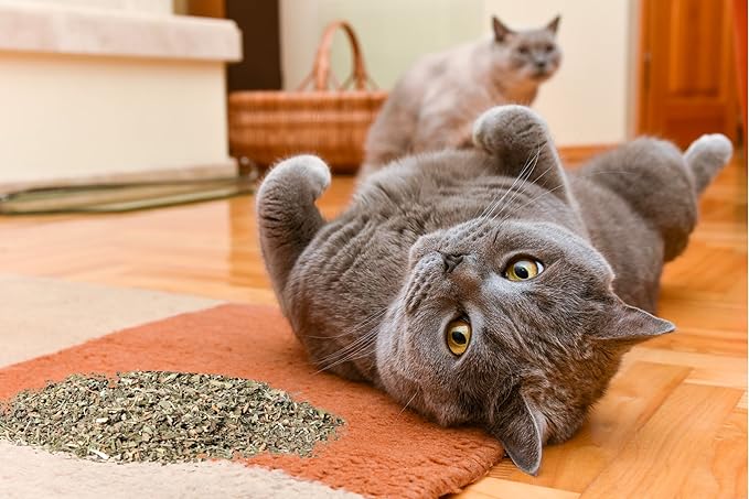 Catnip, Premium Blend Safe for Cats, Infused with Maximum Potency Your Kitty is Sure to Go Crazy for (1 Cup)